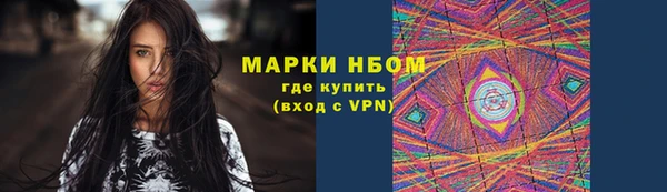 стаф Каменногорск
