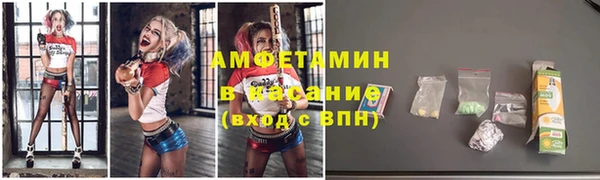 стаф Каменногорск