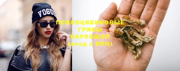 мдпв Инта