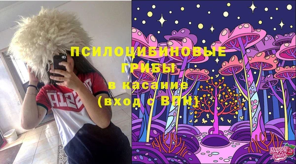 ГАЛЛЮЦИНОГЕННЫЕ ГРИБЫ Каменск-Шахтинский