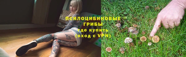 ГАЛЛЮЦИНОГЕННЫЕ ГРИБЫ Каменск-Шахтинский