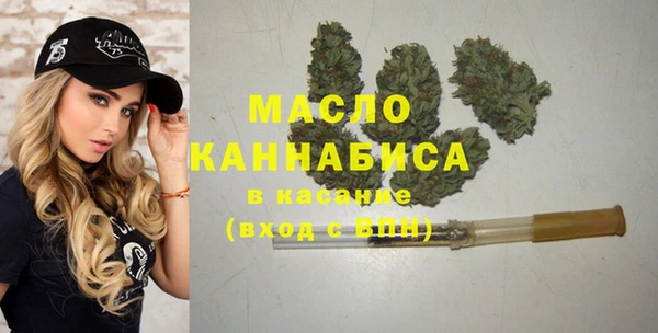 мдпв Инта
