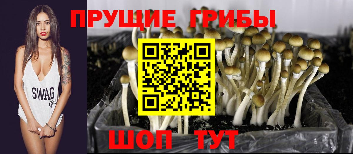 Галлюциногенные грибы ЛСД  Галлюциногенные грибы мухоморы  купить наркоту  Вход с VPN  Карачаевск 