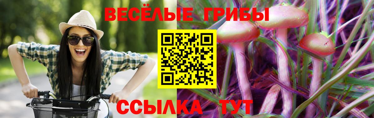 Галлюциногенные грибы мухоморы Карачаевск