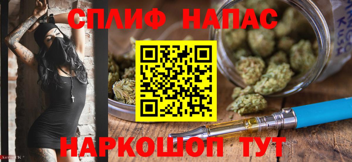 МАРИХУАНА VHQ  Канабис сатива  Вход с VPN  Каннабис планчик  Карачаевск  МАРИХУАНА White Widow 